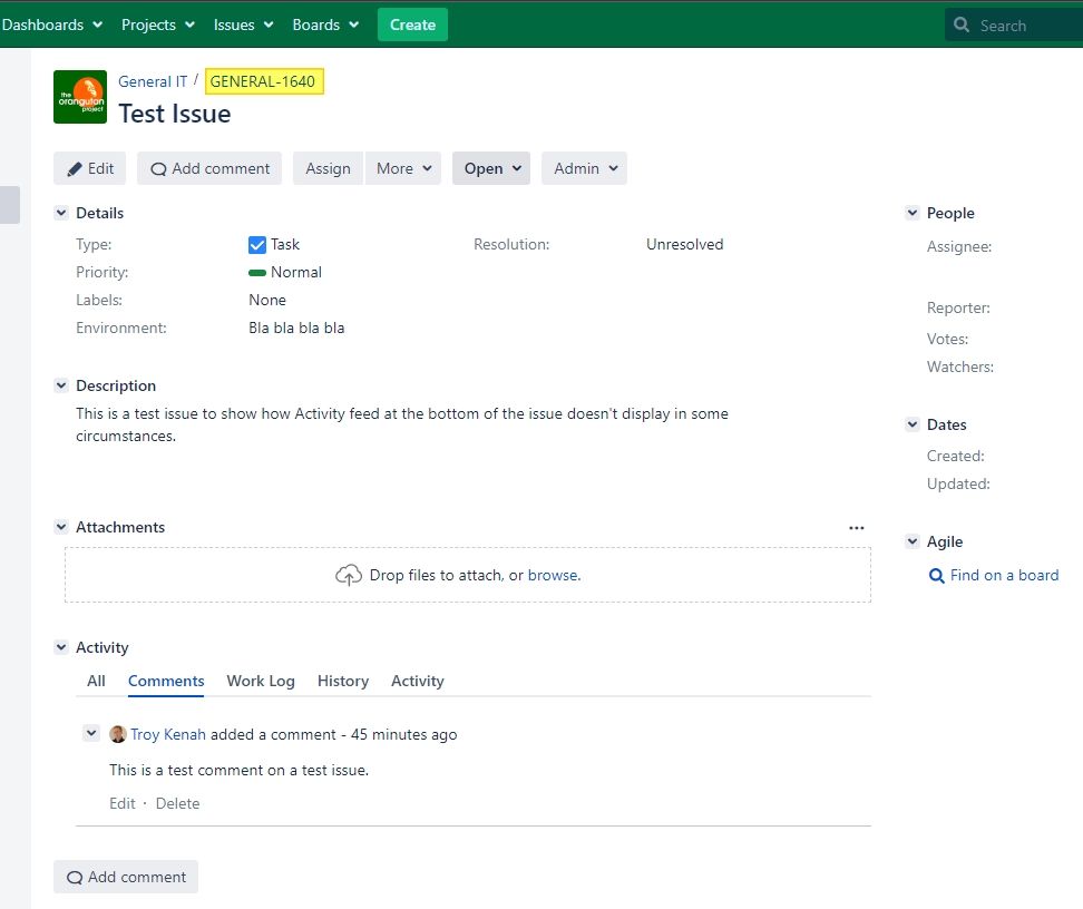 jira_issue_with_activity.jpg