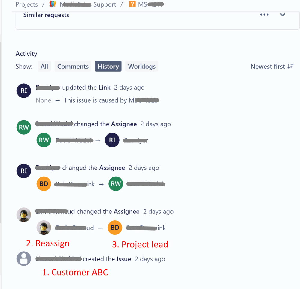 Incorrect auto assign to non project lead 1.png