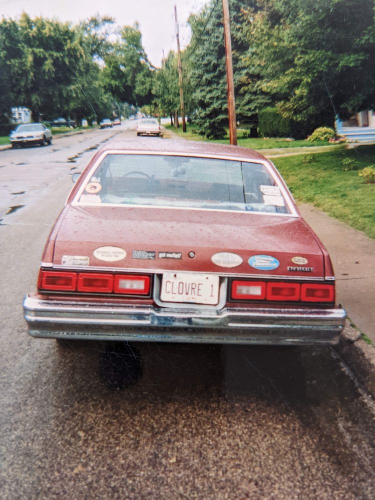 PXL_20221110_140705995.jpg