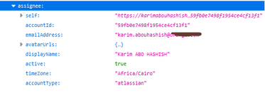 Assignee_Details1.png