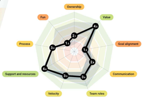 Health Radar.png