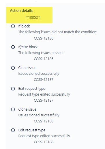 action details 10052.jpg