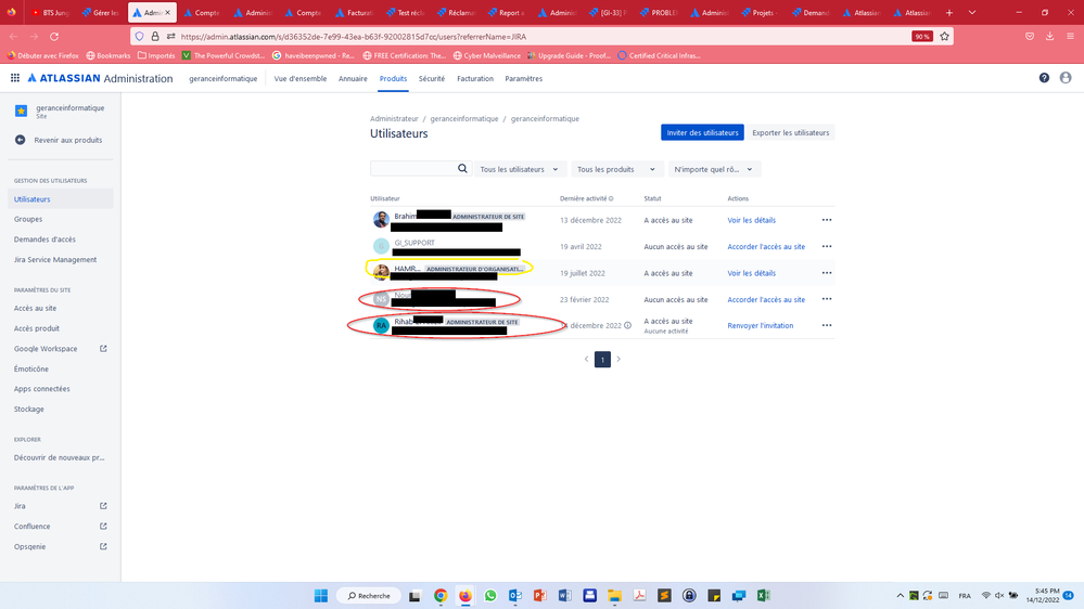 Capture pour le ticket de support.png