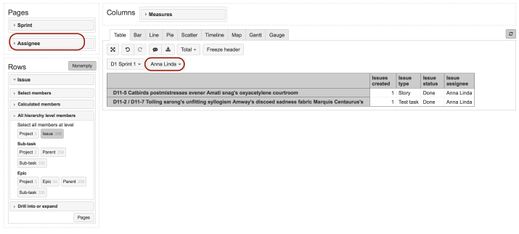 Assignee in reports.jpg