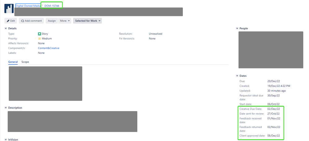 issueDetails.png
