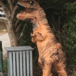 giphy (48).gif