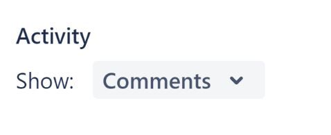 Jira Activity Section.JPG