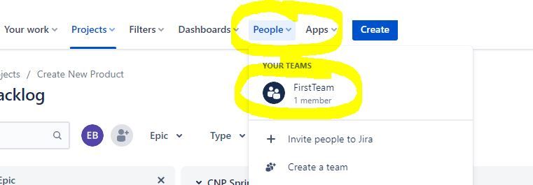JIRA issue People_Team.JPG