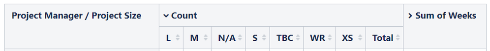 Pivot Table View.PNG