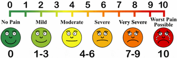 Service rating.png
