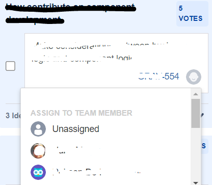 assigning team member.PNG