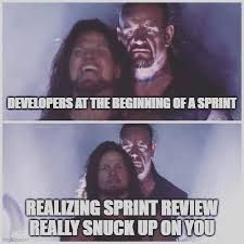 sneakysprintreview.jpeg