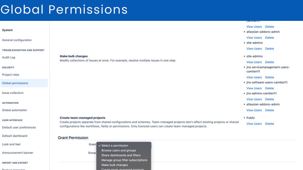 Global Permissions.jpg