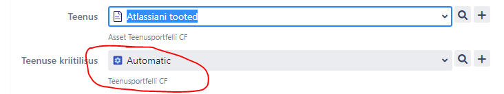 form view.PNG