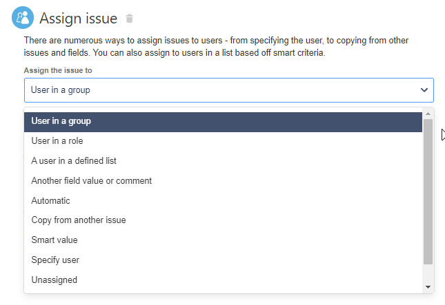 assign-auto-option.png