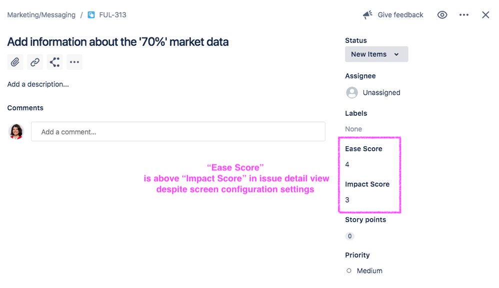 issue detail view.png