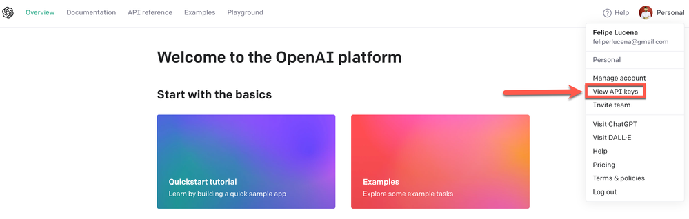 openai_view_keys.png
