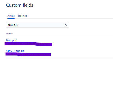 customfield.png