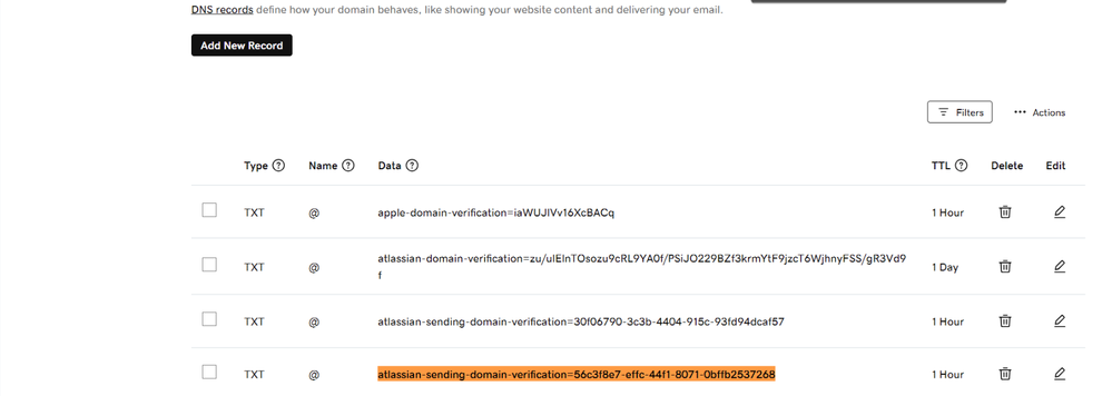 DNs Record.png