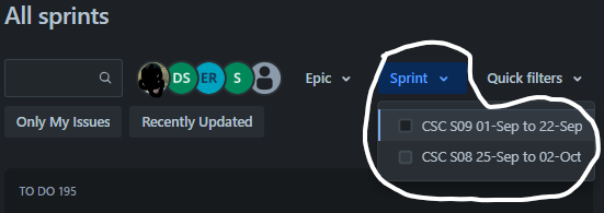 Screenshot showing Sprint missing in the dropdown.png