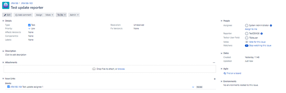 JIRA-163 issue.PNG