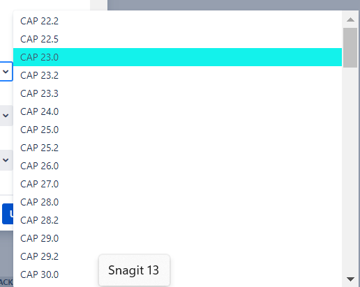 Does not show Released and Unreleased from Edit or create screens.png
