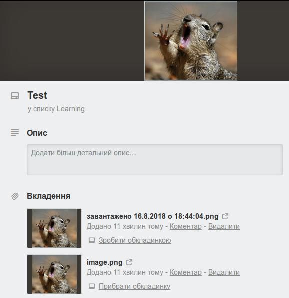 trello_bug.jpg