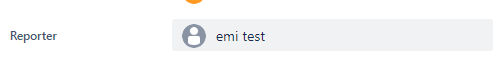 Reported Issues button missing.png