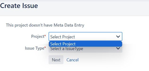 Jira Issue.jpg