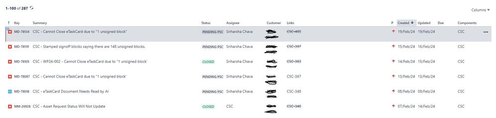 Example_issue_ticket correspondence_view authorized.JPG