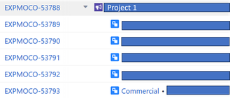 project 1.png