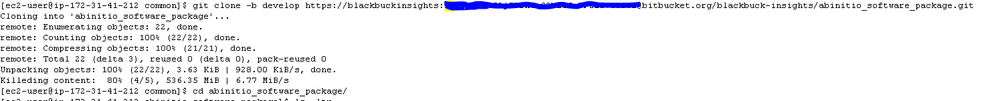 clone_repo.PNG
