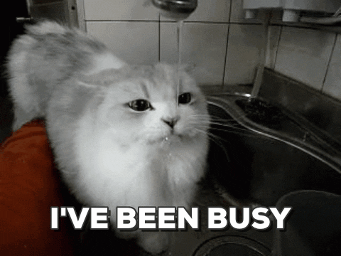 giphy (32).gif