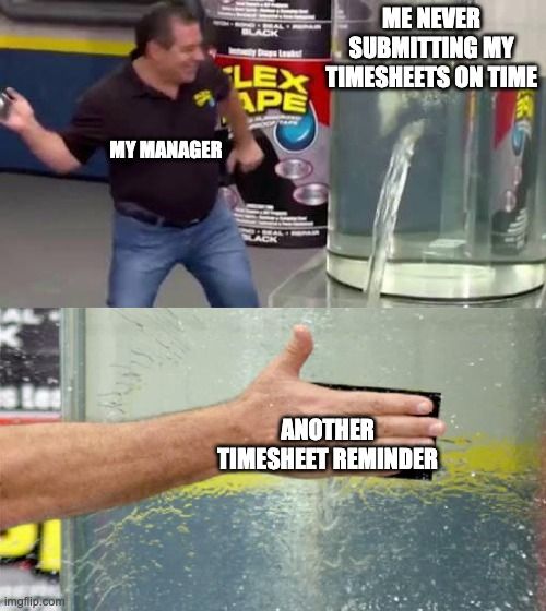 20.Never-submitting-timesheets-on-time-meme-novo-1.jpg
