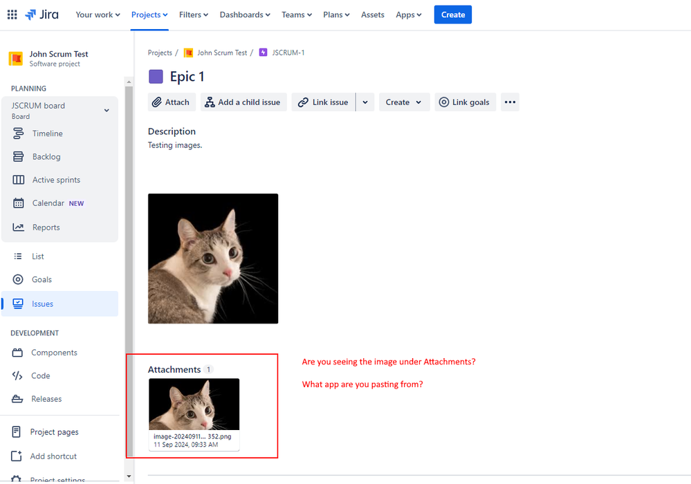 jira-image-issue.png