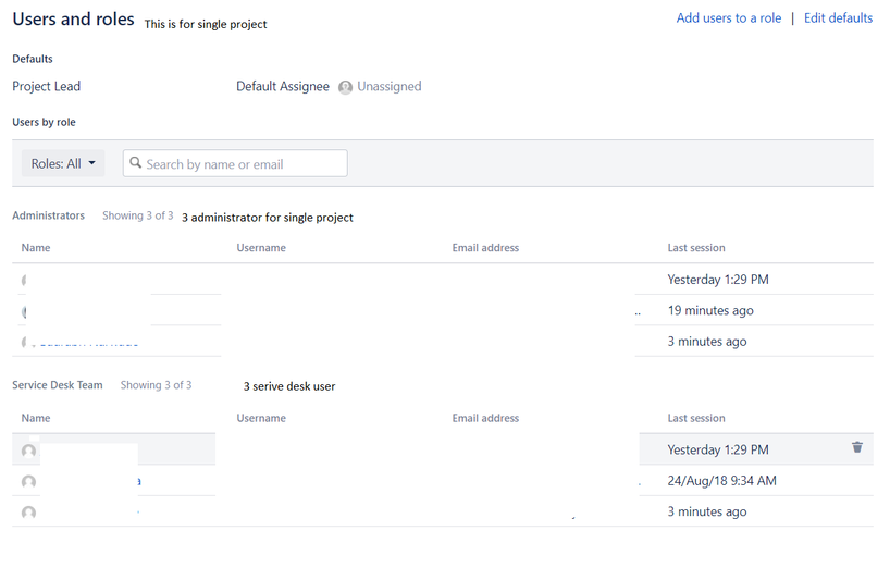 project role.PNG