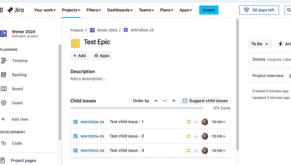 jira bug 2.png