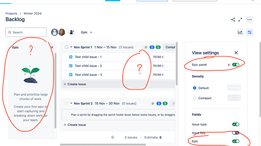 jira bug 3.png