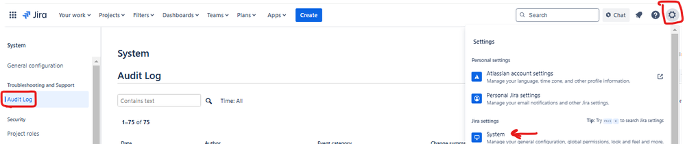 Audit Log.png