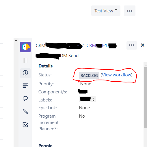 issue detail view.png