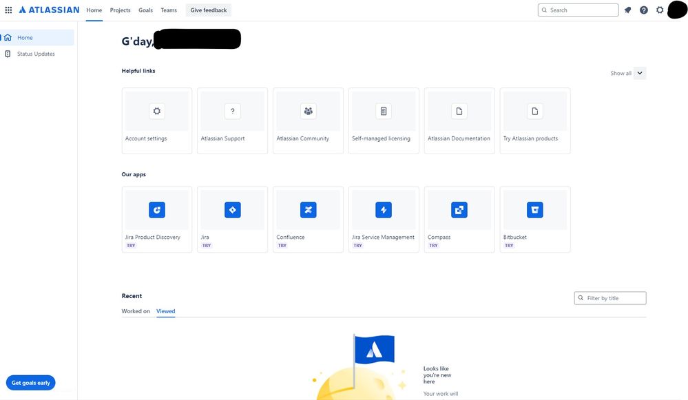 ATlassian issue.jpg