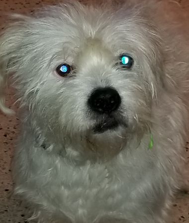 Teddy2!!.jpg