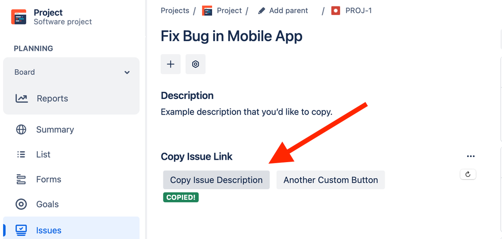 copy-issue-description.png