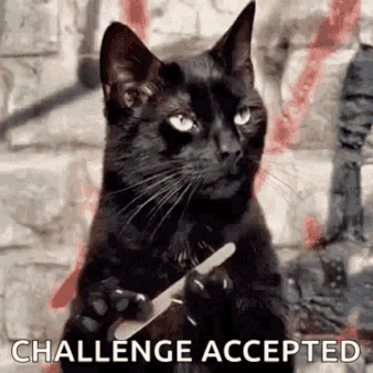 waiting-cat-filing-nail.gif