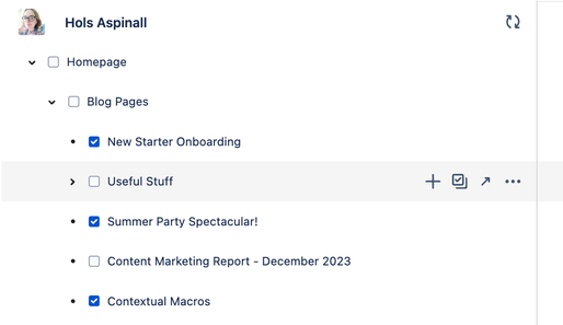 Confluence_page_restrictions_4.png