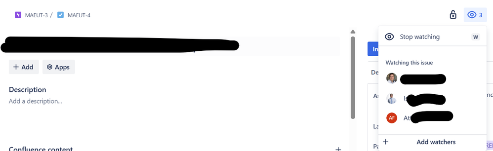 JIRA_Issue_5.png