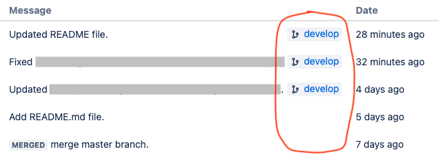 bb develop branch highlight.png