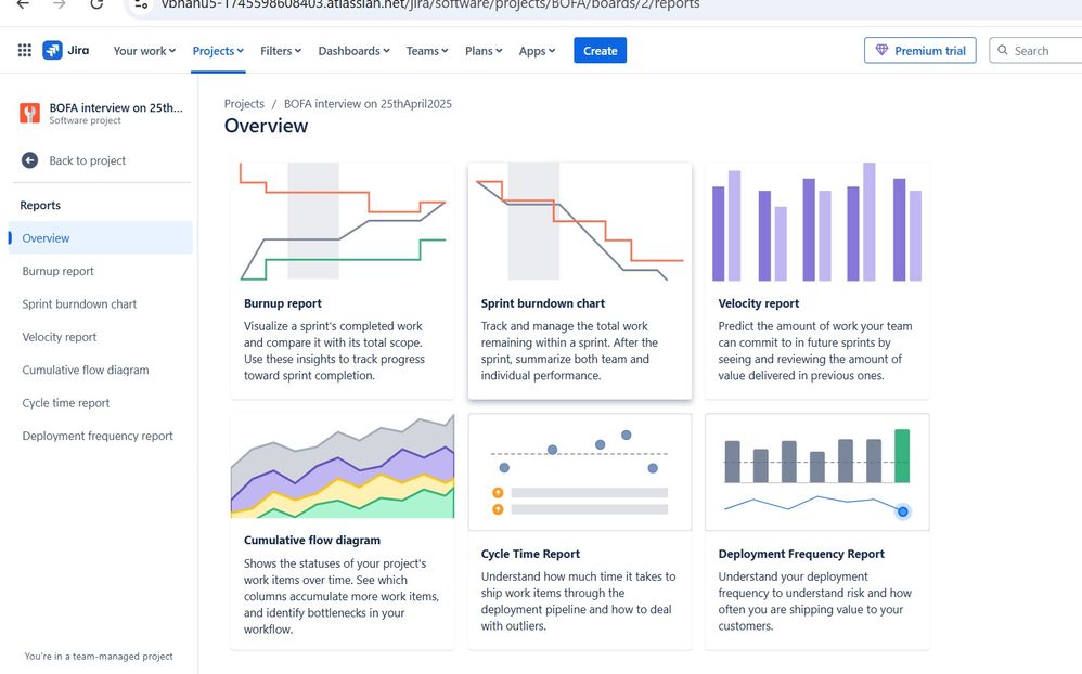 jira report.jpg