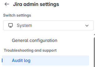 Audit Log.png