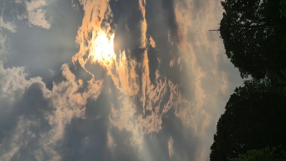 20250502_180859.jpg